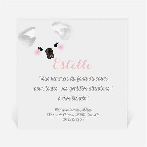 Remerciement naissance Petit Panda Naissance réf.N300230