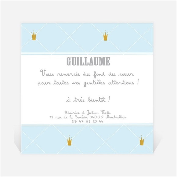 Remerciement naissance Faire part original photo réf.N300236