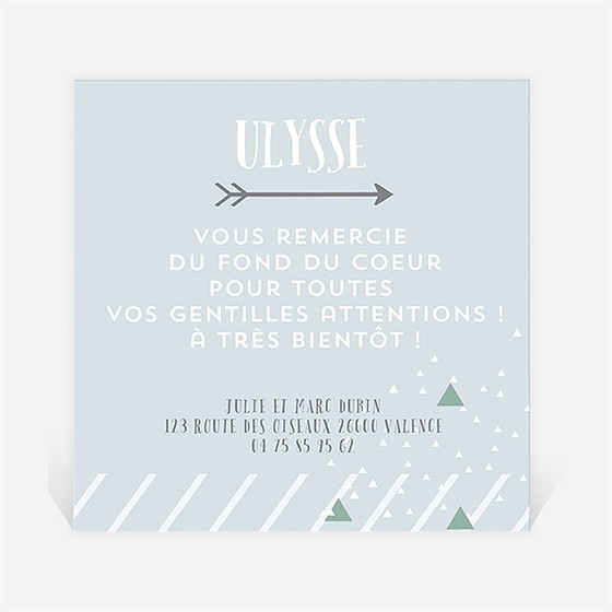 Remerciement naissance tout en image