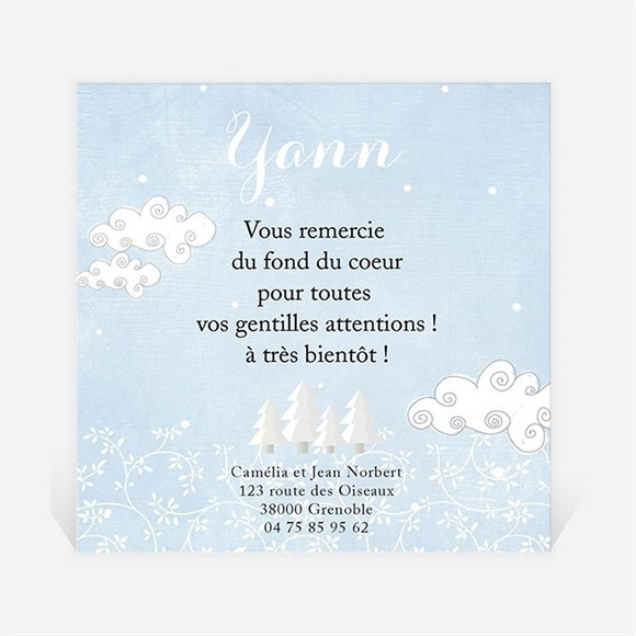 Remerciement naissance Paysage de neige réf.N300285