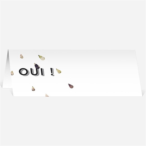 Marque-place mariage inscriptions originales