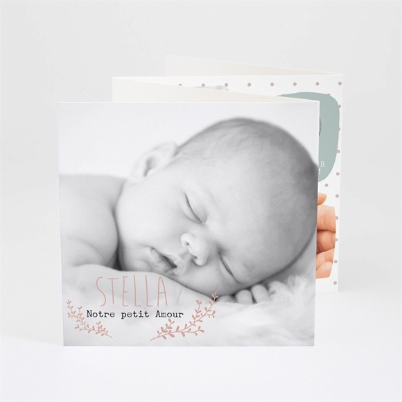 Faire-part naissance Notre petit Amour réf.N83006