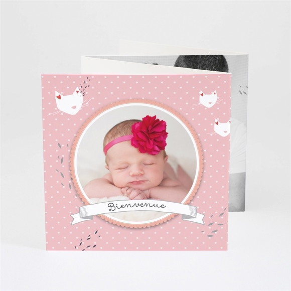 Faire-part naissance Notre Petit chaton fille réf.N83014