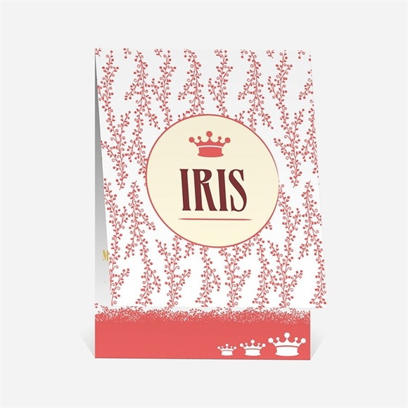 Faire-part naissance Petit Seigneur réf.N50151