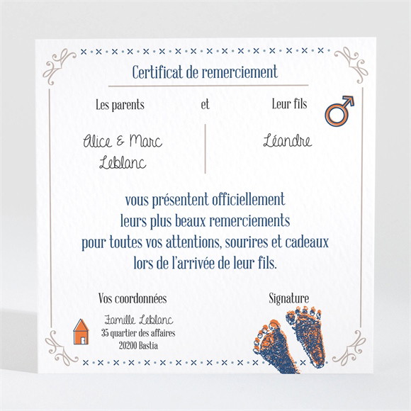 Remerciement naissance Jolis pictogrammes réf.N300436