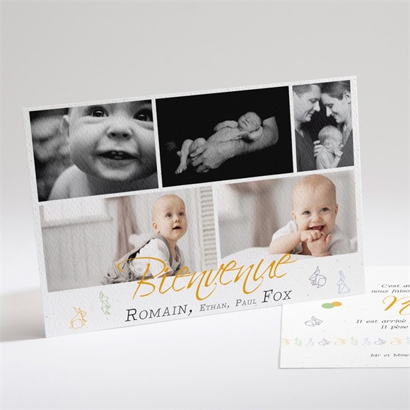 Faire-part naissance Petits animaux tendance réf.N14157