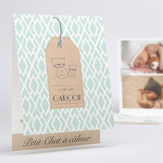 Faire-part naissance notre petit chat