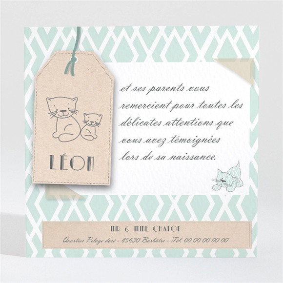 Remerciement naissance Notre Petit Chat réf.N300447