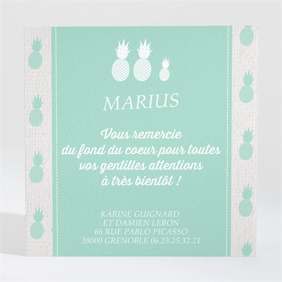 Remerciement naissance Ananas réf.N300481