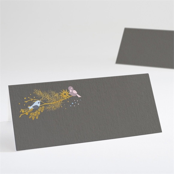 Marque-place baptême Annonce surprise réf.N440576