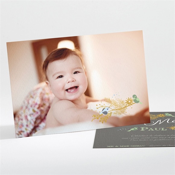 Remerciement baptême Plumes printanières réf.N111131