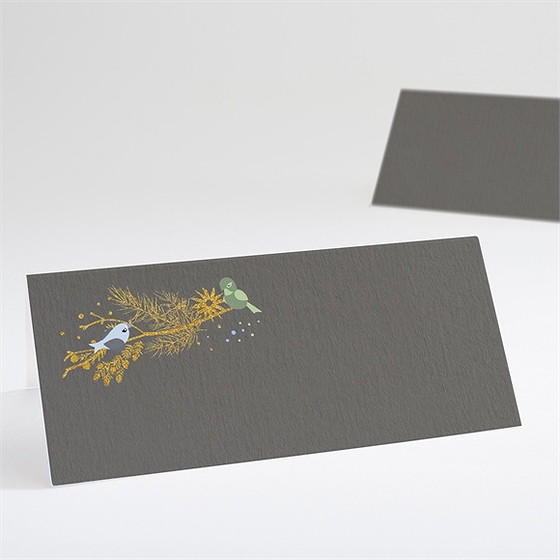 Marque-place baptême plumes printanières