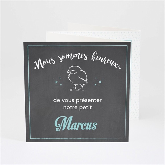 Faire-part naissance réf. N83036 réf.N83036