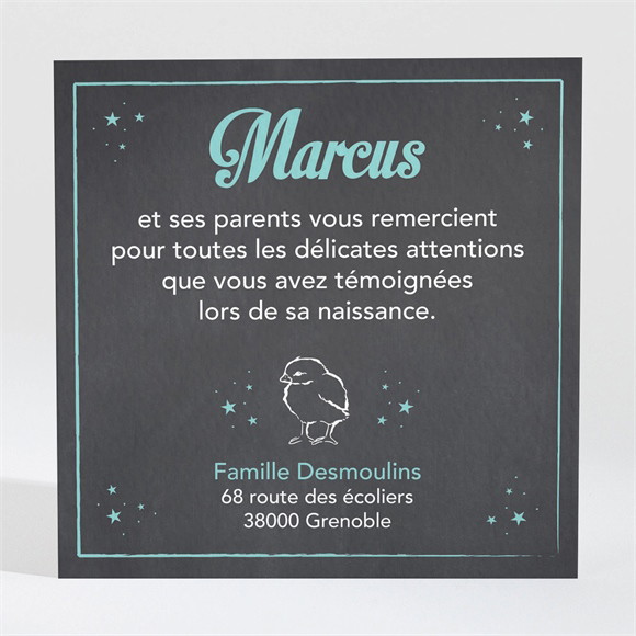 Remerciement naissance réf. N3001223 réf.N3001223