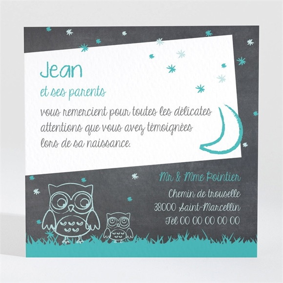 Remerciement naissance Chouette alors réf.N3001249