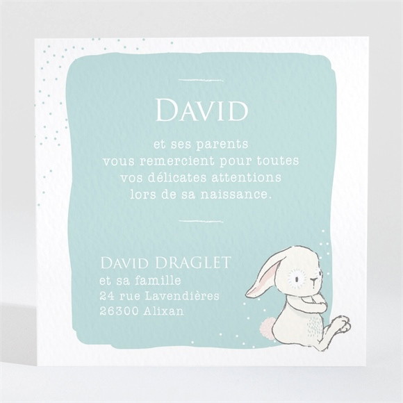 Remerciement naissance Lapinou réf.N3001385