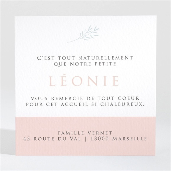 Remerciement naissance 3 photos pour une princesse réf.N3001398