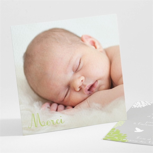 Remerciement baptême Cadre végétal chic réf.N30140