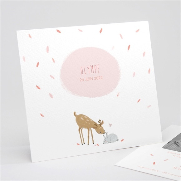 Faire-part naissance Cadre bucolique réf.N311210