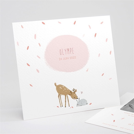 Faire-part naissance cadre bucolique