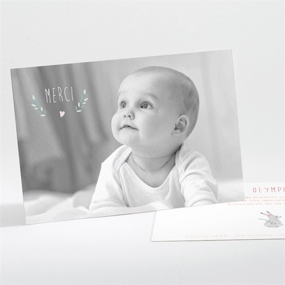 Remerciement naissance Cadre bucolique réf.N111202