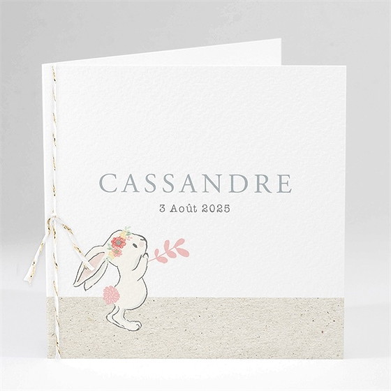 Faire-part naissance le petit messager