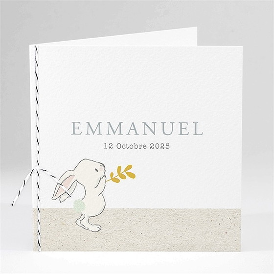 Faire-part naissance le don