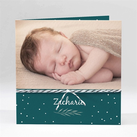 Faire-part naissance Flocons délicats réf.N45193