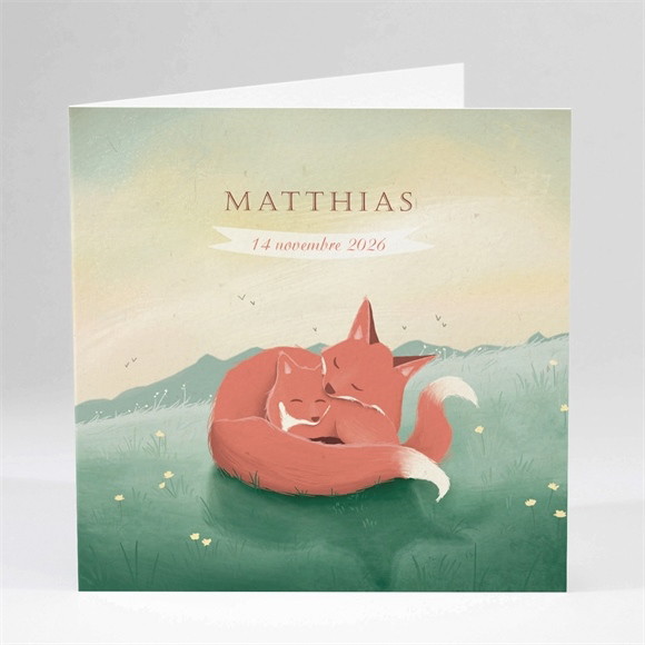 Faire-part naissance Mister Renard réf.N451118