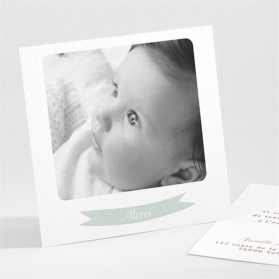 Remerciement naissance mister renard