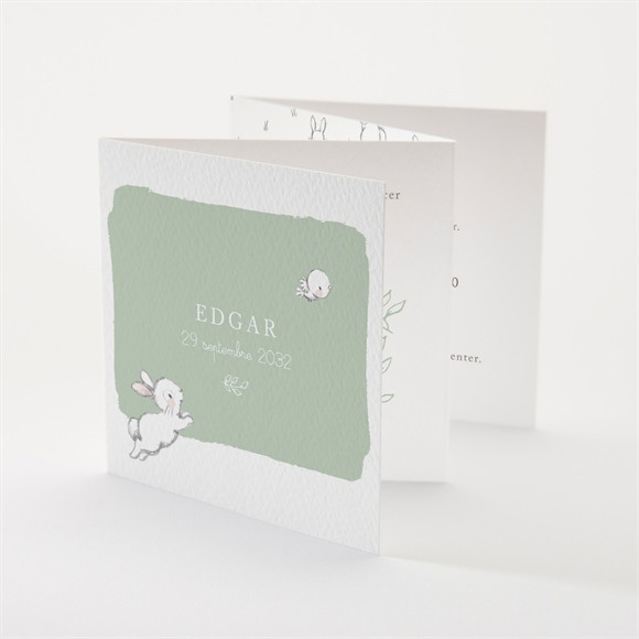 Faire-part naissance Ravissant lapin réf.N83114