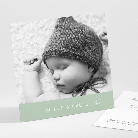 Remerciement naissance Ravissant lapin réf.N30170