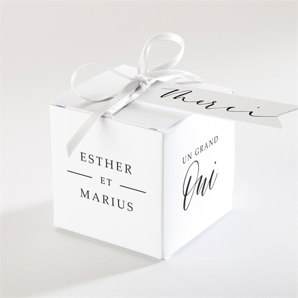 Boîte de dragées mariage Liés pour toujours réf.N340162