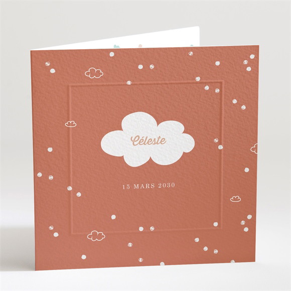 Faire-part naissance Joli Ciel réf.N451135