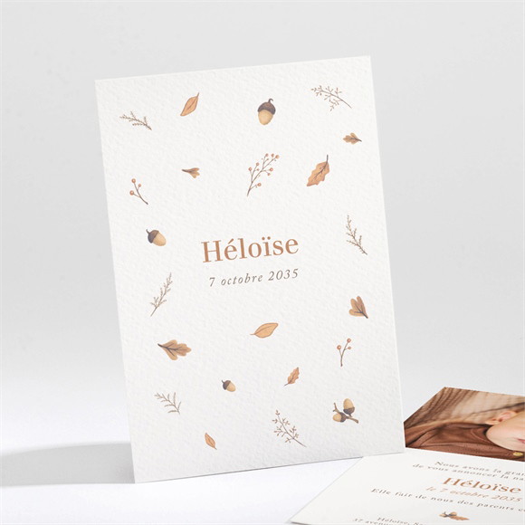 Faire-part naissance Automne réf.N211187