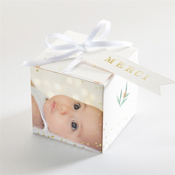 Boîte de dragées baptême Jolie poésie réf.N340183