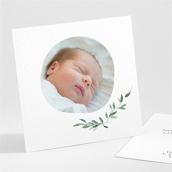 Remerciement naissance les petits coins champêtres