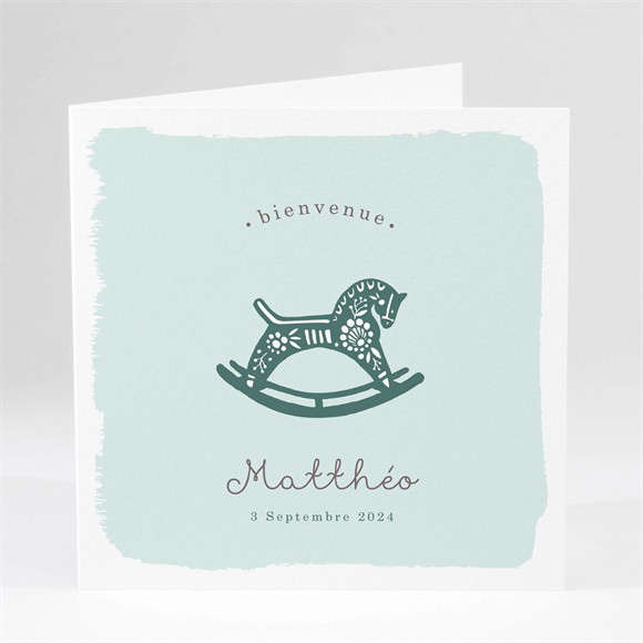 Faire-part naissance Petit canasson réf.N46113