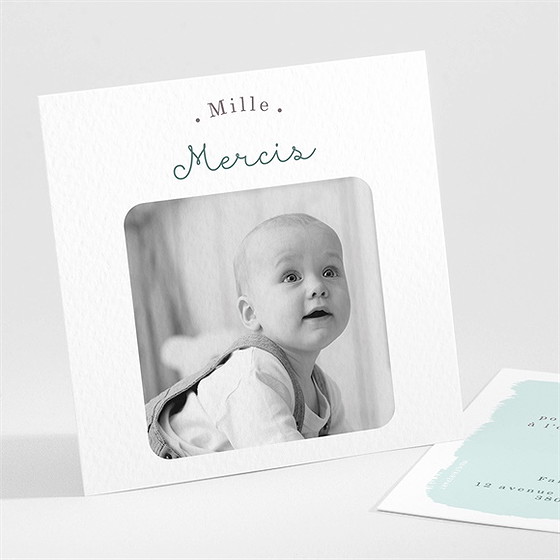 Remerciement naissance petit canasson