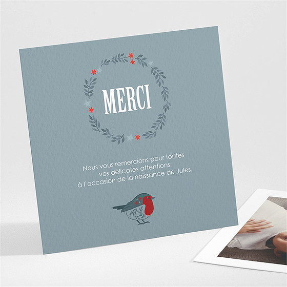 Remerciement naissance composition d'hiver