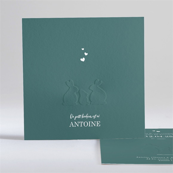 Faire-part naissance Notre petite Bande réf.N35181