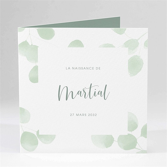 Faire-part naissance aquarelle pastel