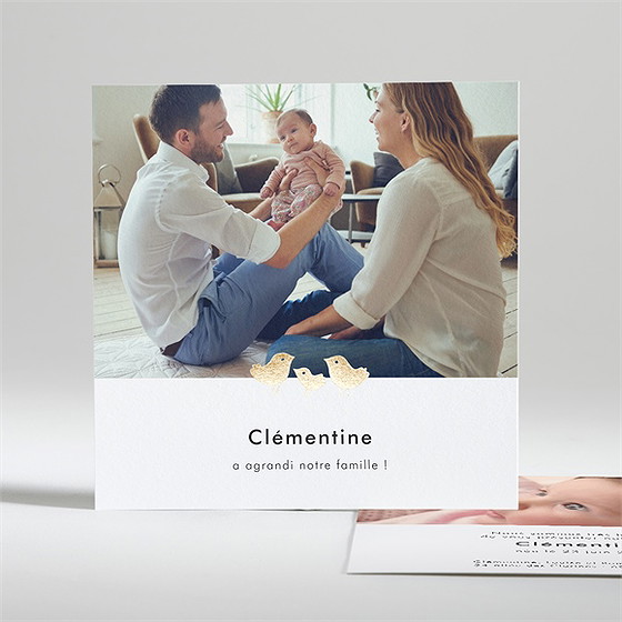 Faire-part naissance petit nid