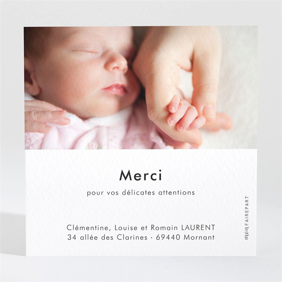 Remerciement naissance Petit Nid réf.N3001619