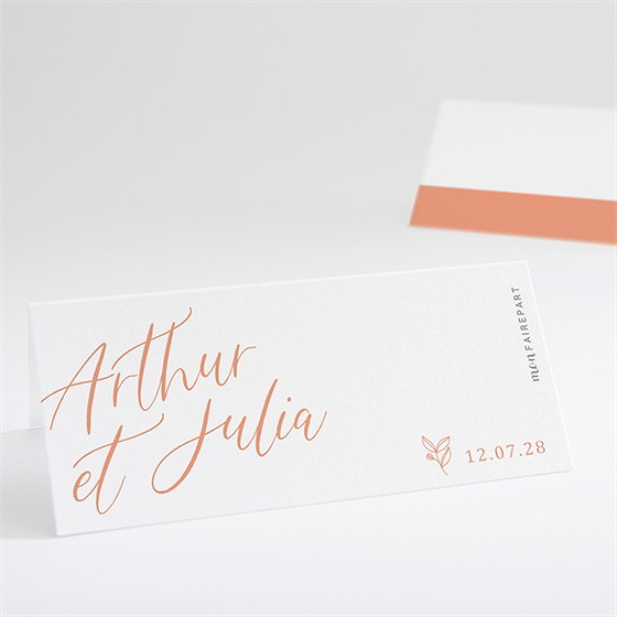 Marque-place mariage fantasques