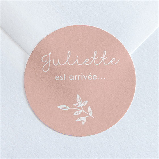 Sticker naissance simple cadre et photo