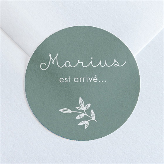 Sticker naissance cadre photo simple