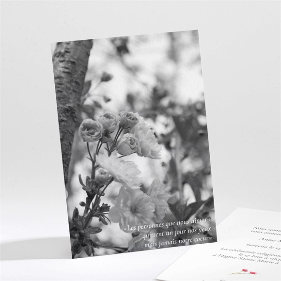 Faire-part décès En image réf.N211301