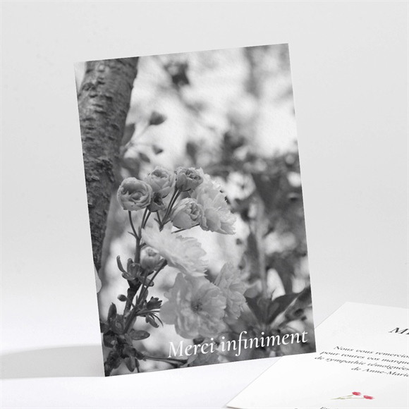 Remerciement décès En image réf.N211302