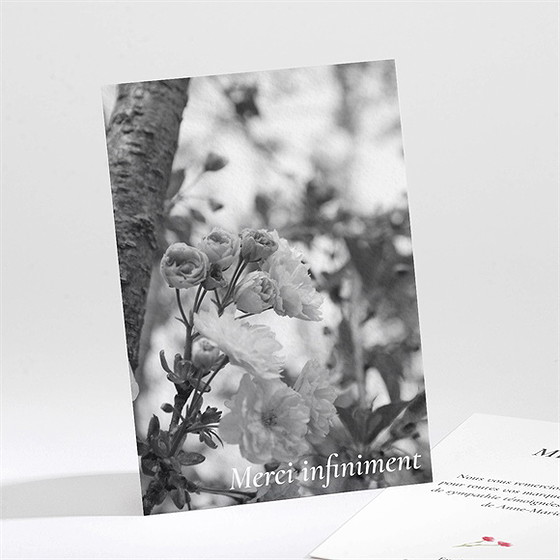 Remerciement décès en image